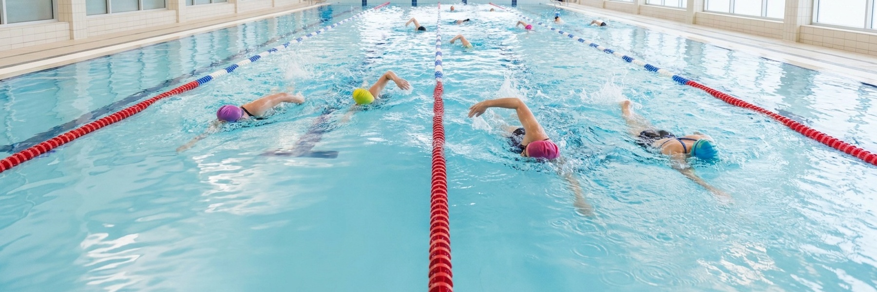 Swim the Suck 2026