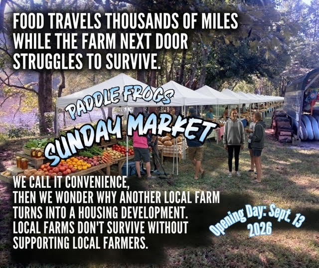 Paddle Frogs Sunday Market