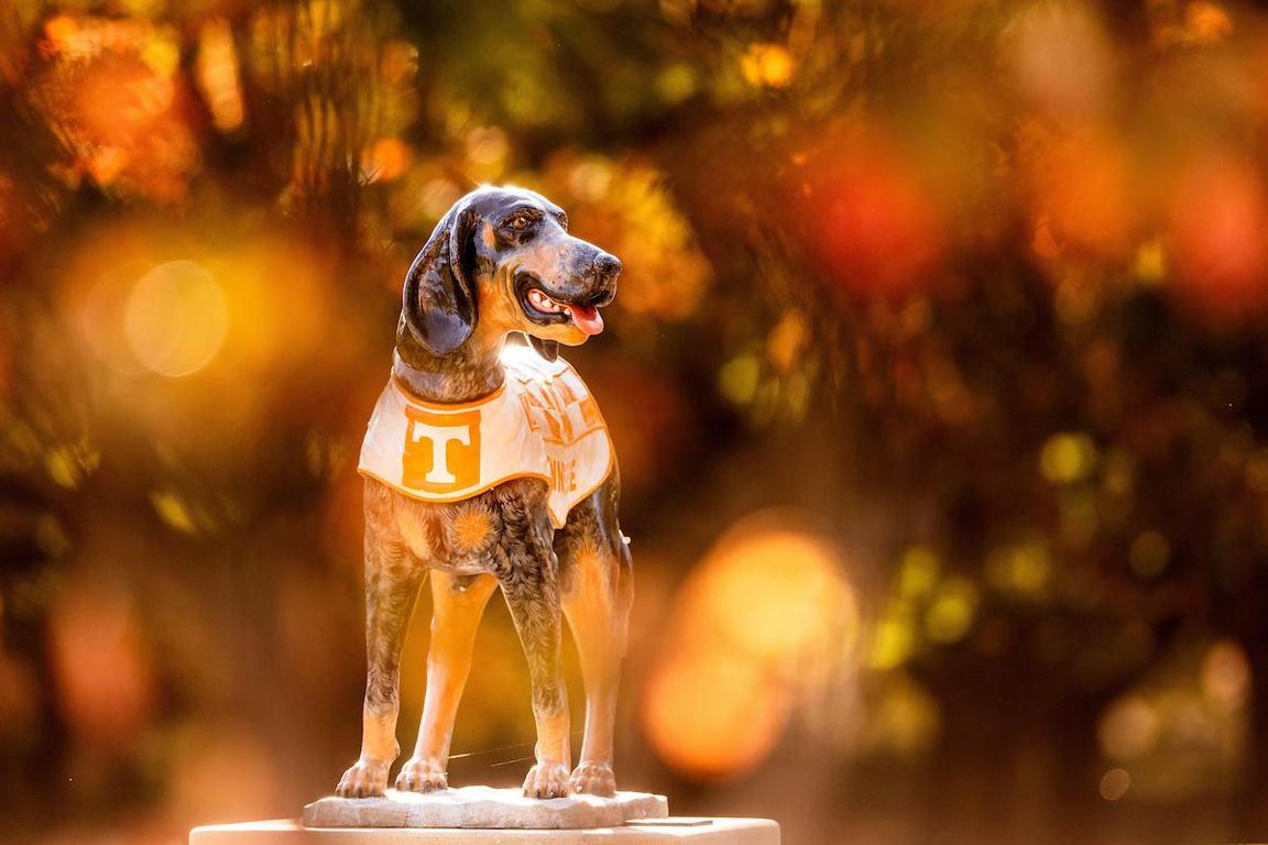 University of Tennessee, Knoxville Career Fair