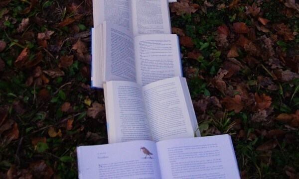 Library Workshop: How to Do a Literature Review