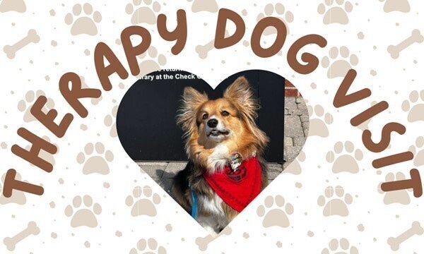 Therapy Dog: Meet Winston